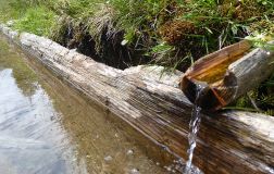 Sterzing Vipiteno estatate Sommer_17